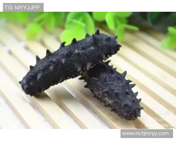 足球明星代言海参背后的故事与健康之道揭秘